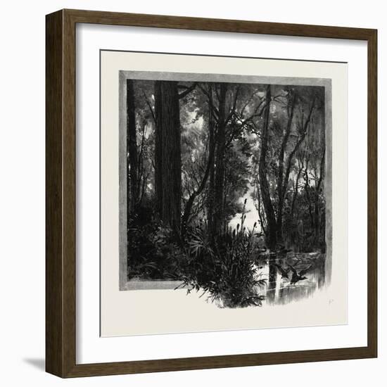 Banks of the Red River, Canada, Nineteenth Century-null-Framed Giclee Print
