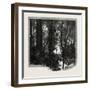Banks of the Red River, Canada, Nineteenth Century-null-Framed Giclee Print