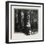 Banks of the Red River, Canada, Nineteenth Century-null-Framed Giclee Print