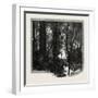 Banks of the Red River, Canada, Nineteenth Century-null-Framed Giclee Print