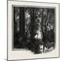 Banks of the Red River, Canada, Nineteenth Century-null-Mounted Giclee Print