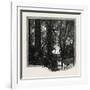 Banks of the Red River, Canada, Nineteenth Century-null-Framed Giclee Print