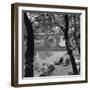 Banks of the Seine during Autumn-null-Framed Photographic Print