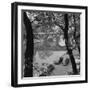 Banks of the Seine during Autumn-null-Framed Photographic Print