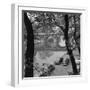 Banks of the Seine during Autumn-null-Framed Photographic Print