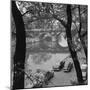 Banks of the Seine during Autumn-null-Mounted Photographic Print