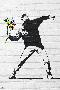 Banksy- Rage, Flower Thrower-Banksy-Lamina Framed Poster