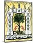 Banner of the Secession Convention in Charleston, South Carolina, c.1860-null-Mounted Premium Giclee Print