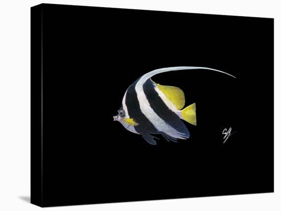 Bannerfish-Durwood Coffey-Stretched Canvas