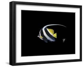 Bannerfish-Durwood Coffey-Framed Giclee Print