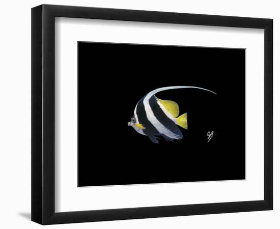 Bannerfish-Durwood Coffey-Framed Premium Giclee Print