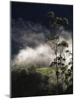 Banos, Ecuador-null-Mounted Photographic Print