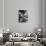 Banquet Hall in Biltmore Mansion-null-Photographic Print displayed on a wall