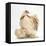 Bantam Hen and Frizzle Feather Chicken Chick-Mark Taylor-Framed Stretched Canvas