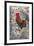 Bantam Rooster, Florida, Usa-Jim Engelbrecht-Framed Premium Photographic Print