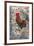 Bantam Rooster, Florida, Usa-Jim Engelbrecht-Framed Premium Photographic Print