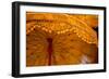 Banteay Kdei Umbrella-Erin Berzel-Framed Photographic Print