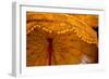 Banteay Kdei Umbrella-Erin Berzel-Framed Photographic Print