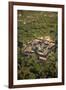 Banteay Samre Temple Ruins, Angkor World Heritage Site, Near Siem Reap, Cambodia-David Wall-Framed Photographic Print