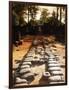 Banteay Srei Temple, Angkor, Cambodia-Angelo Cavalli-Framed Photographic Print