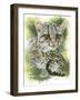 Bantom-Barbara Keith-Framed Giclee Print