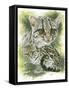 Bantom-Barbara Keith-Framed Stretched Canvas