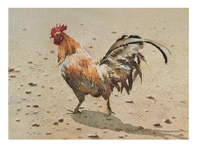 Banty Rooster' Print - LaVere Hutchings 