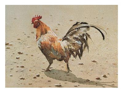 Banty Rooster' Print - LaVere Hutchings Banty Rooster' Print - LaVere Hutchings