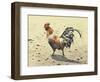 Banty Rooster-LaVere Hutchings-Framed Premium Giclee Print