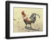 Banty Rooster-LaVere Hutchings-Framed Premium Giclee Print