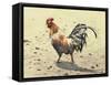 Banty Rooster-LaVere Hutchings-Framed Stretched Canvas