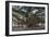 Banyan Tree, Lahaina, Maui, Hawaii, United States of America, Pacific-Rolf Richardson-Framed Photographic Print