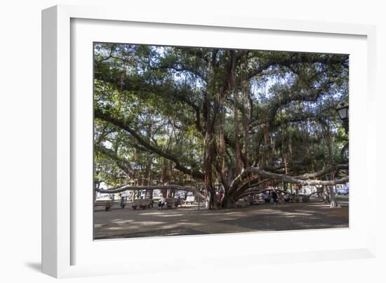 Banyan Tree, Lahaina, Maui, Hawaii, United States of America, Pacific-Rolf Richardson-Framed Photographic Print