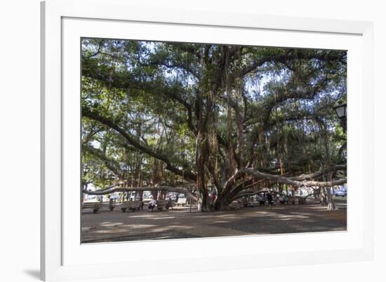 Banyan Tree, Lahaina, Maui, Hawaii, United States of America, Pacific-Rolf Richardson-Framed Photographic Print