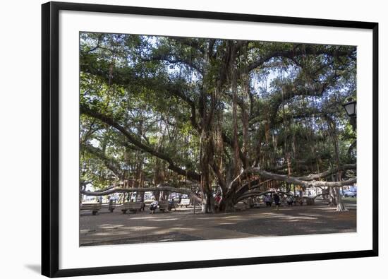 Banyan Tree, Lahaina, Maui, Hawaii, United States of America, Pacific-Rolf Richardson-Framed Photographic Print