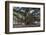 Banyan Tree, Lahaina, Maui, Hawaii, United States of America, Pacific-Rolf Richardson-Framed Photographic Print