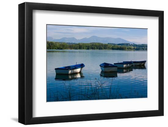 Premium Photographic Print, , large
