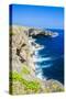 Banzai Cliffs on Saipan, Northern Marianas, Central Pacific, Pacific-Michael Runkel-Stretched Canvas