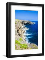 Banzai Cliffs on Saipan, Northern Marianas, Central Pacific, Pacific-Michael Runkel-Framed Photographic Print