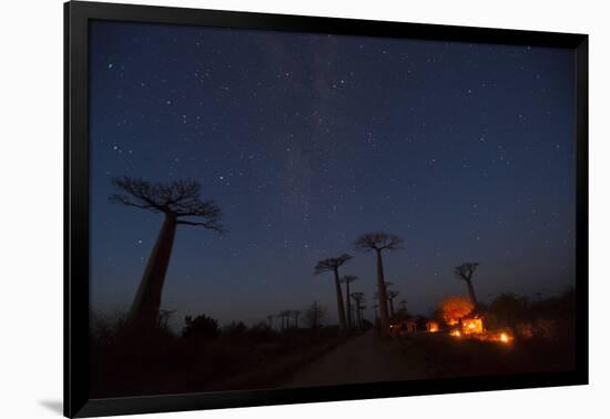 Baobab Alley, Madagascar-Art Wolfe-Framed Photographic Print