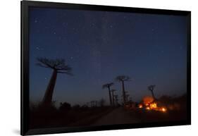 Baobab Alley, Madagascar-Art Wolfe-Framed Photographic Print
