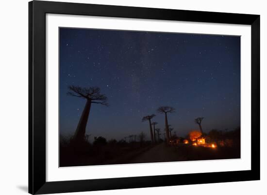 Baobab Alley, Madagascar-Art Wolfe-Framed Photographic Print