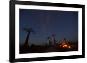 Baobab Alley, Madagascar-Art Wolfe-Framed Photographic Print