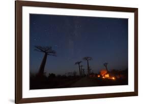 Baobab Alley, Madagascar-Art Wolfe-Framed Photographic Print