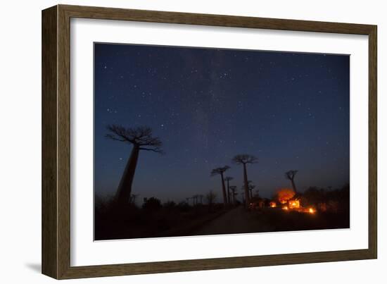 Baobab Alley, Madagascar-Art Wolfe-Framed Photographic Print