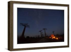 Baobab Alley, Madagascar-Art Wolfe-Framed Photographic Print