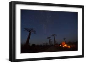 Baobab Alley, Madagascar-Art Wolfe-Framed Photographic Print