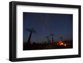 Baobab Alley, Madagascar-Art Wolfe-Framed Photographic Print