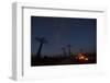 Baobab Alley, Madagascar-Art Wolfe-Framed Photographic Print