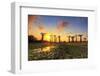 Baobab Panorama Sunset-dennisvdw-Framed Photographic Print